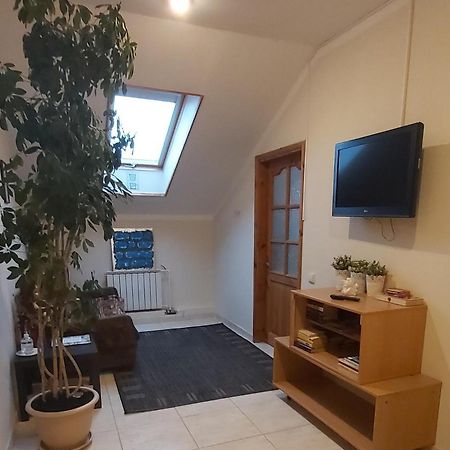 Tiesiog Hostelis Salcininkai ภายนอก รูปภาพ